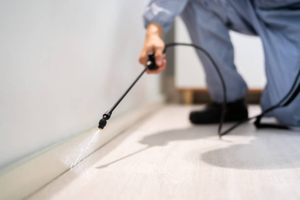Licensed Fumigation Services service in Twain Harte, CA - Nex Pest Control