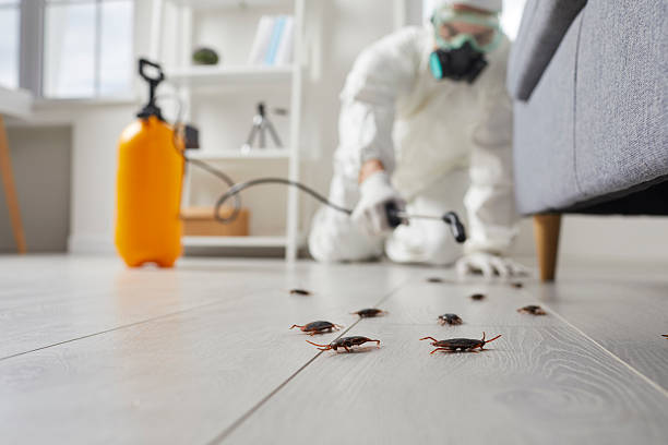 Trusted Fumigation Services service in Twain Harte, CA - Nex Pest Control